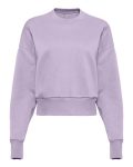 Women's Heavyweight Crewneck Sweatshirt