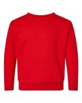 Toddler Fleece Crewneck Sweatshirt